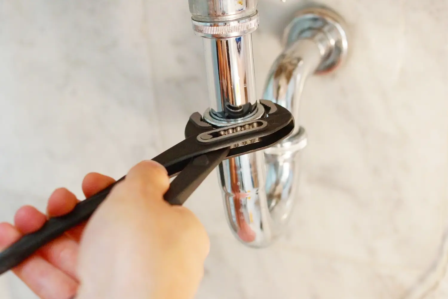 Plumber Flowery Branchs